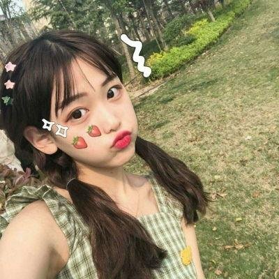 森林之境